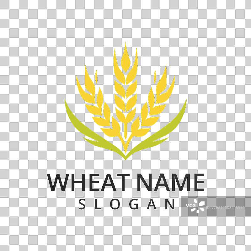 用于农业有机谷物的小麦Logo概念图片素材