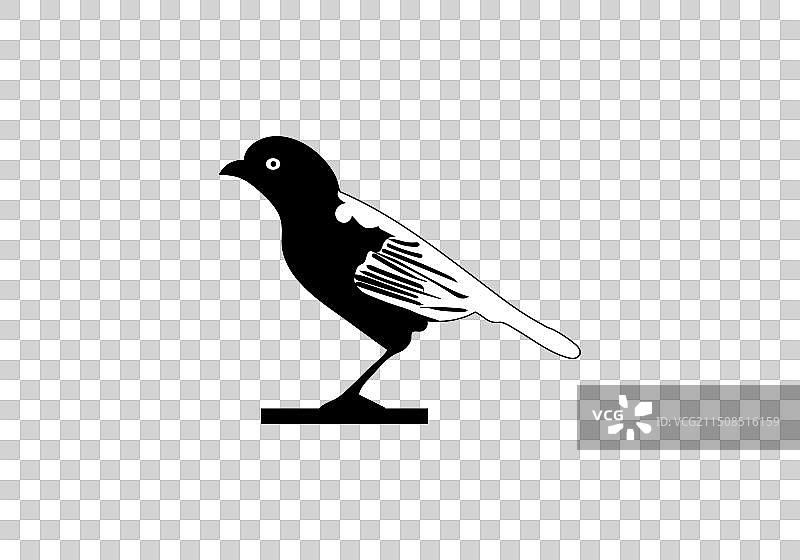 极简风格蓝灰色唐纳雀设计图片素材