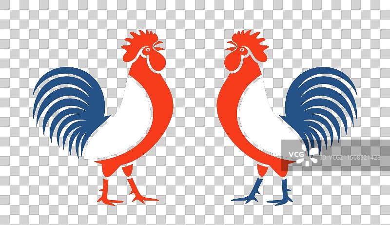 法国公鸡图片素材