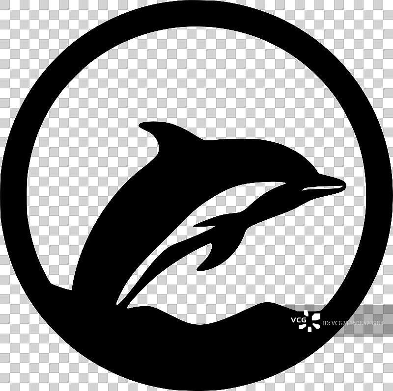 黑白海豚隔离图标图片素材