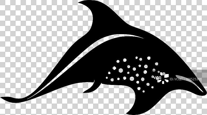 黑白蝠鲼图片素材