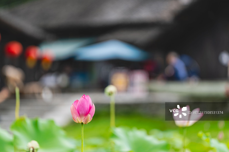 彭家寨 湖北宣恩 全国重点文物保护单位 土家吊脚楼群 建筑艺术 民族文化图片素材