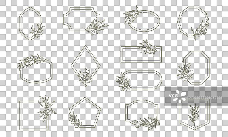 极简橄榄枝边框图片素材