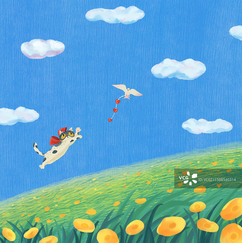 猫小鸟爱心图片素材