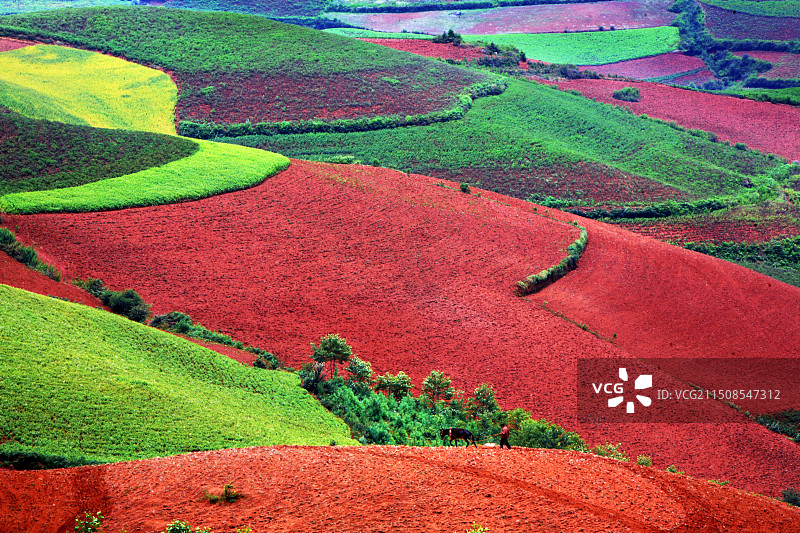 云南昆明，川东红士地。图片素材