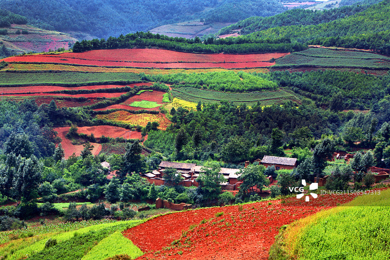 云南昆明，川东红士地。图片素材