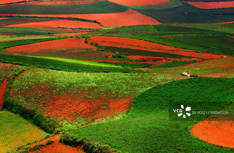 云南昆明，川东红士地。图片素材