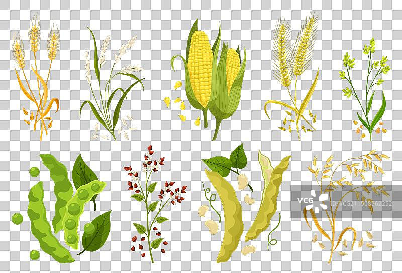 谷物粮食植物图标合集图片素材