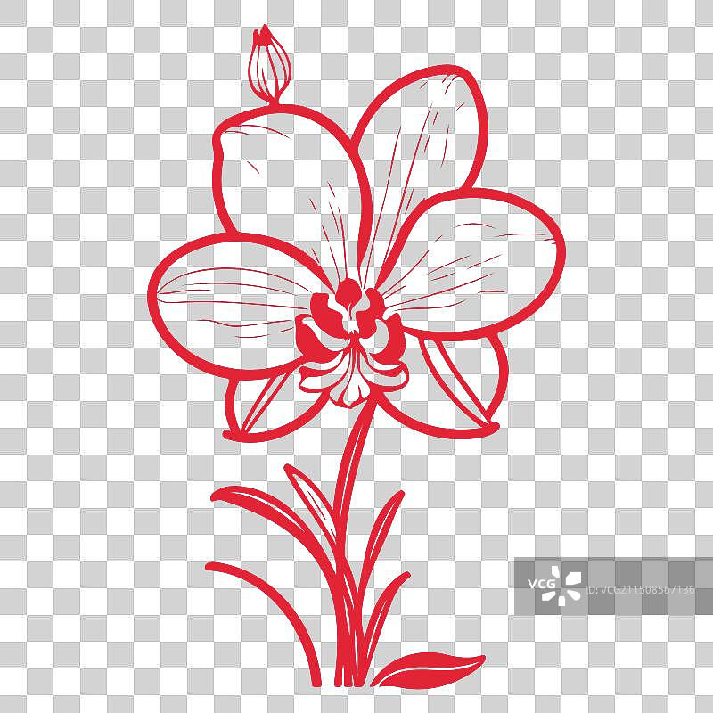 红色兰花叶子涂鸦轮廓草图图片素材