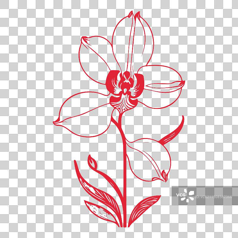 红色兰花叶子涂鸦轮廓草图图片素材
