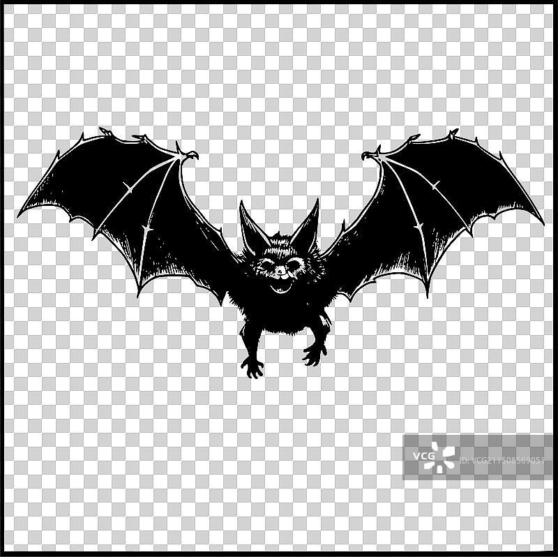 蝙蝠极简剪影图片素材