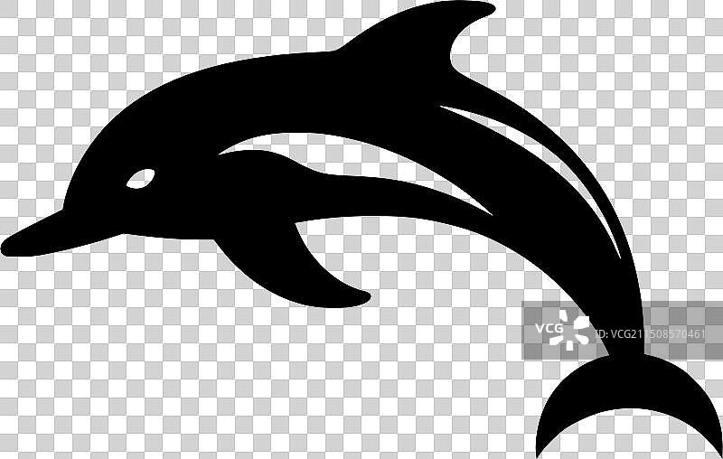 黑白海豚隔离图标图片素材