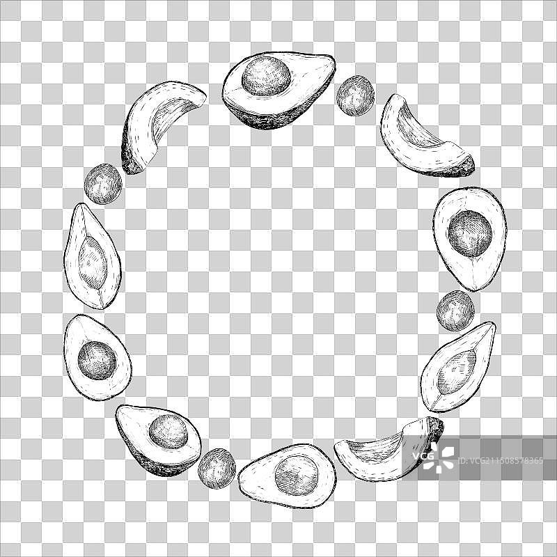 哈斯鳄梨图形圆圈图片素材