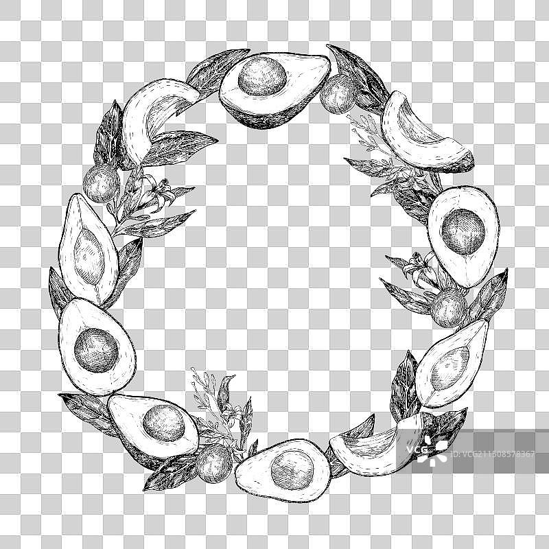 哈斯鳄梨图形圆圈图片素材