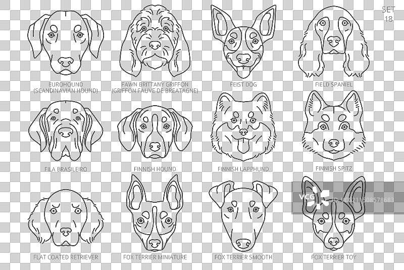 按字母顺序排列的狗头剪影图片素材