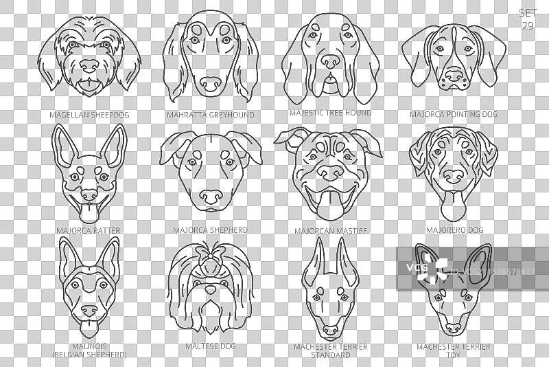 按字母顺序排列的狗头剪影图片素材