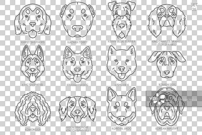 按字母顺序排列的狗头剪影图片素材