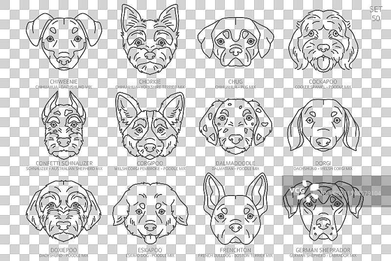 设计师的狗头剪影（按字母顺序排列）图片素材