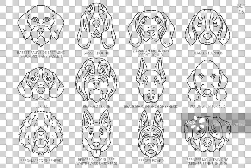 按字母顺序排列的狗头剪影图片素材