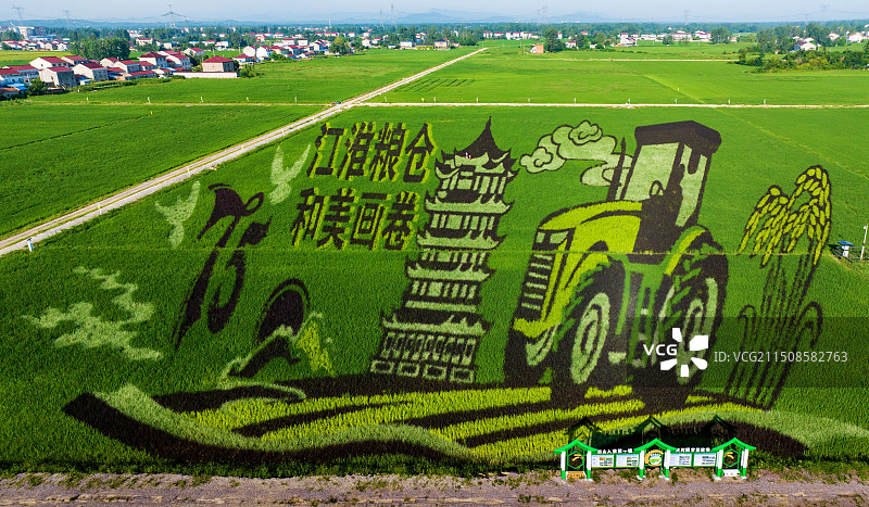 稻田画扮靓美丽乡村图片素材