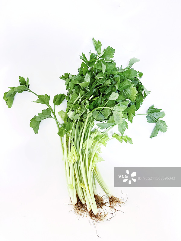 芹菜图片素材