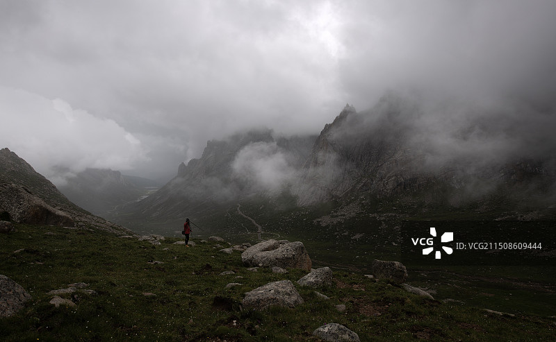 莲宝叶则图片素材
