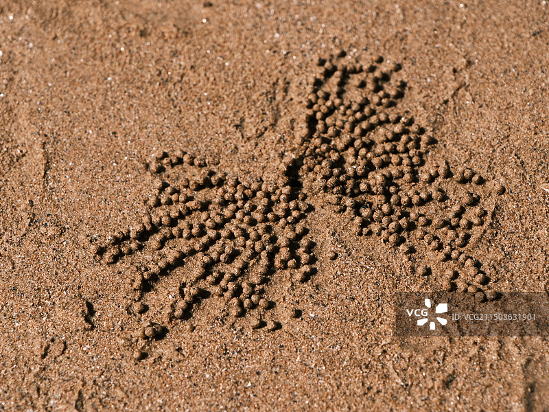 海滩上沙蟹留下的沙球图片素材