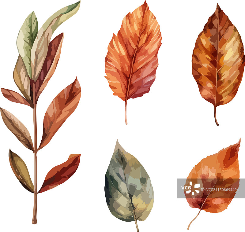 秋叶剪贴画素材图片素材