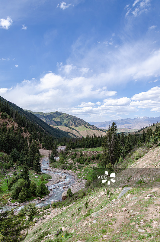 青海冰沟林海图片素材