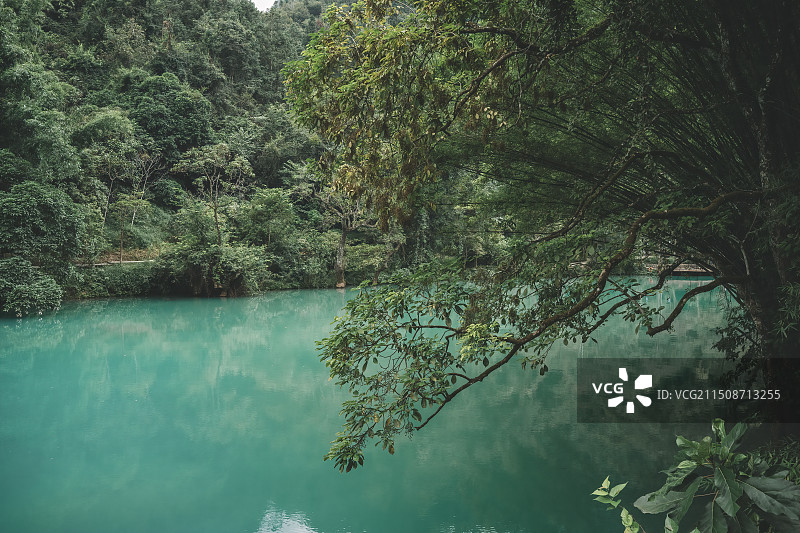 宁静的倒影：郁郁葱葱的湖泊图片素材