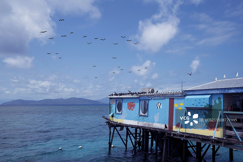 澳大利亚绿岛码头一景图片素材