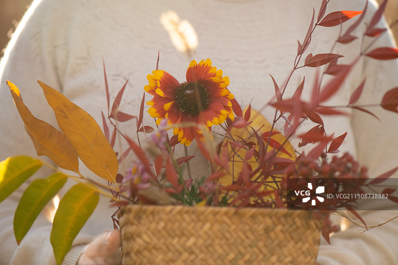 秋天，女人手里的花篮图片素材