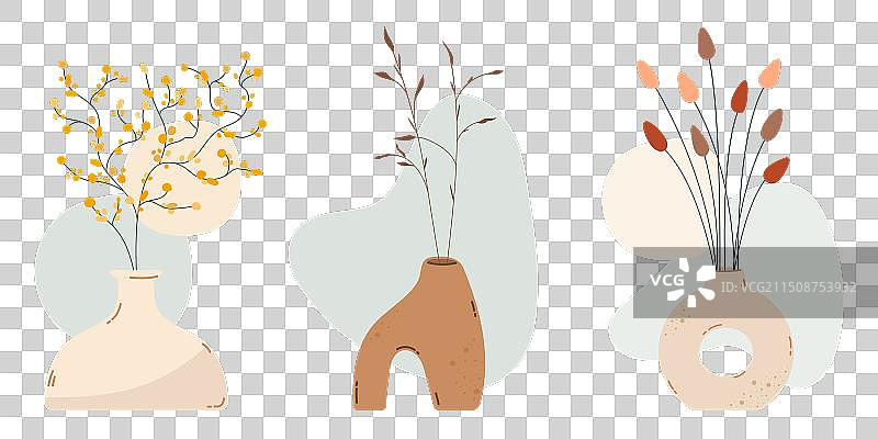 花瓶中的干花艺术拼贴，波西米亚风格图片素材