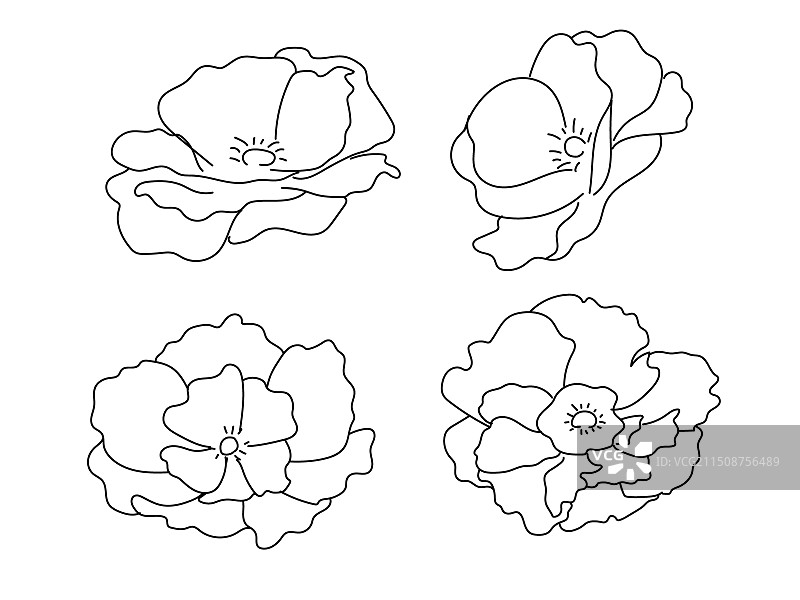 花朵线条描边插画图片素材