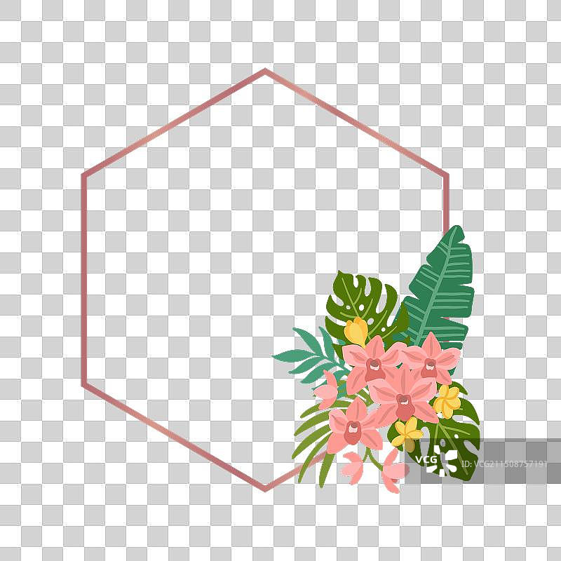 热带花卉框架图片素材