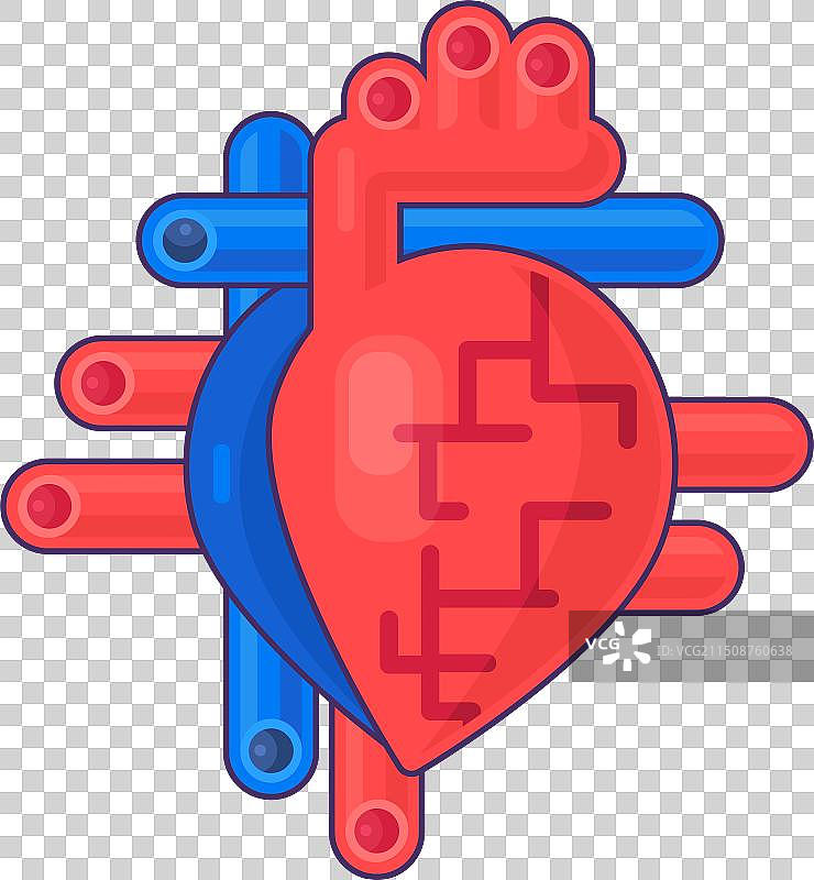 心脏结构示意图：静脉和动脉图标图片素材