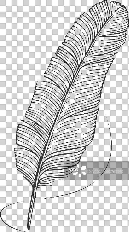 复古羽毛笔墨水笔图片素材