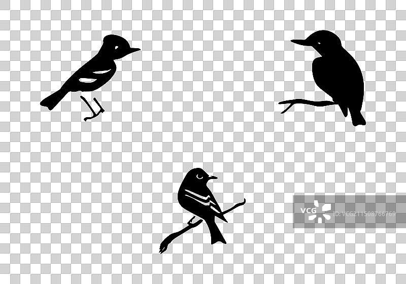 新潮风格阿卡迪亚鸣鹟简约logo图片素材