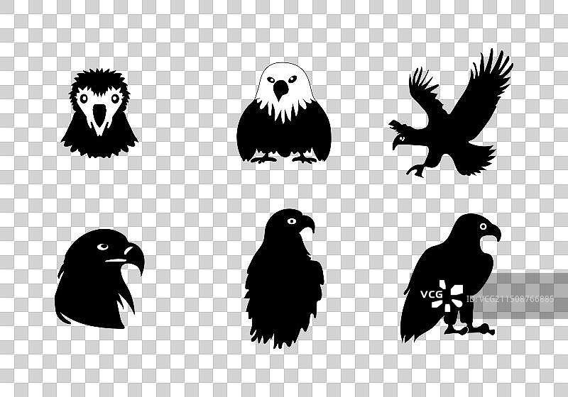 极简风格秃鹰图标图片素材