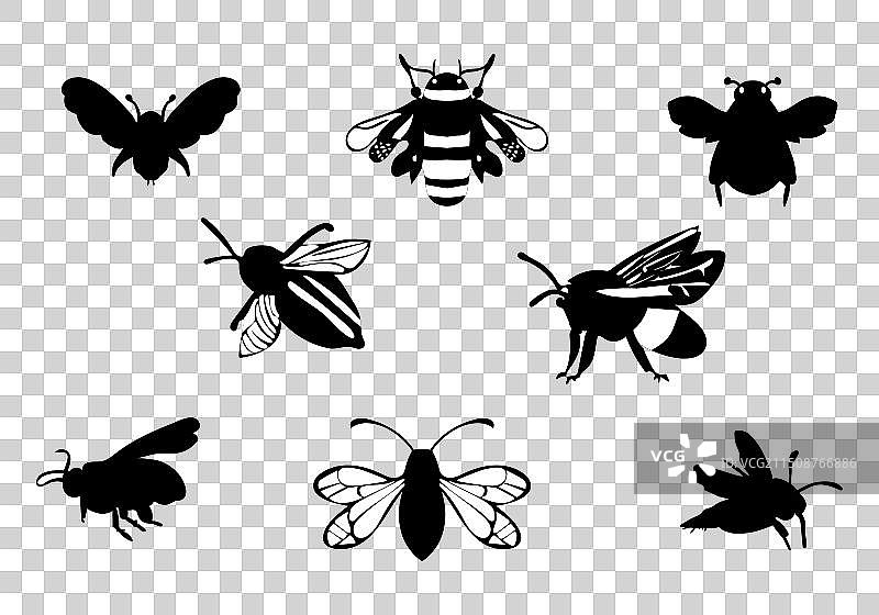 极简风格的巴布特布谷鸟大黄蜂图标图片素材