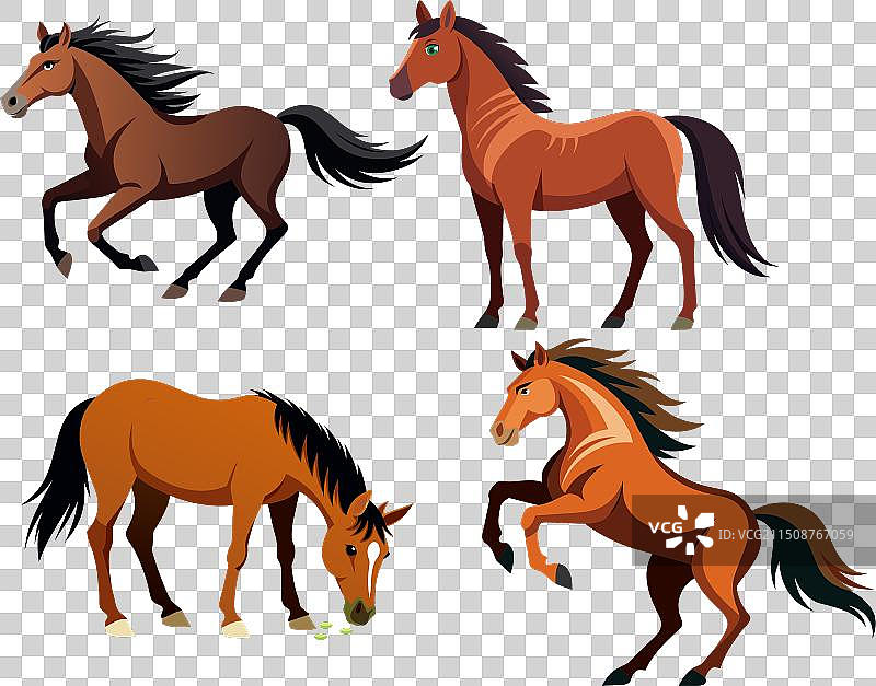 阿帕卢萨马图片素材