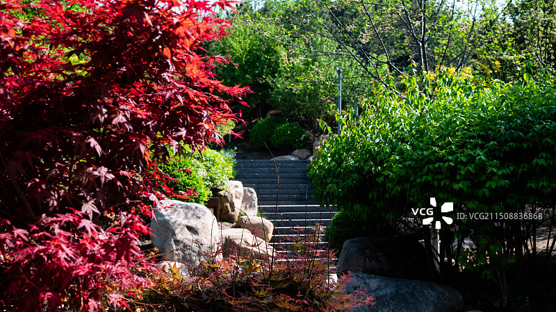 唐山市南湖景区图片素材