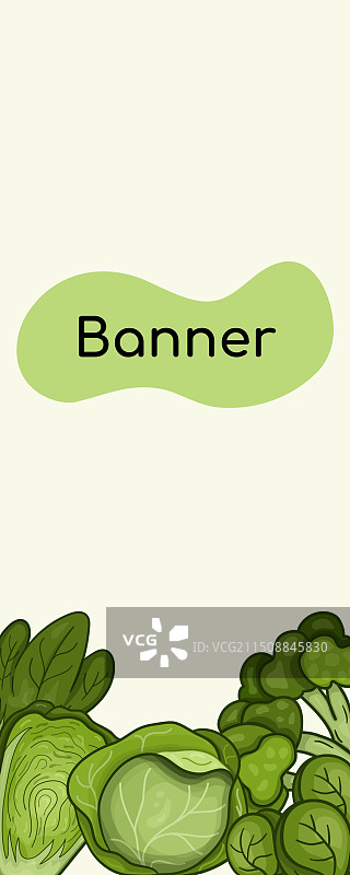 各类卷心菜绿色banner图片素材