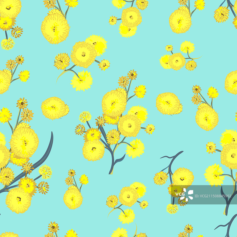 美丽的黄蓝色含羞草花卉图案图片素材
