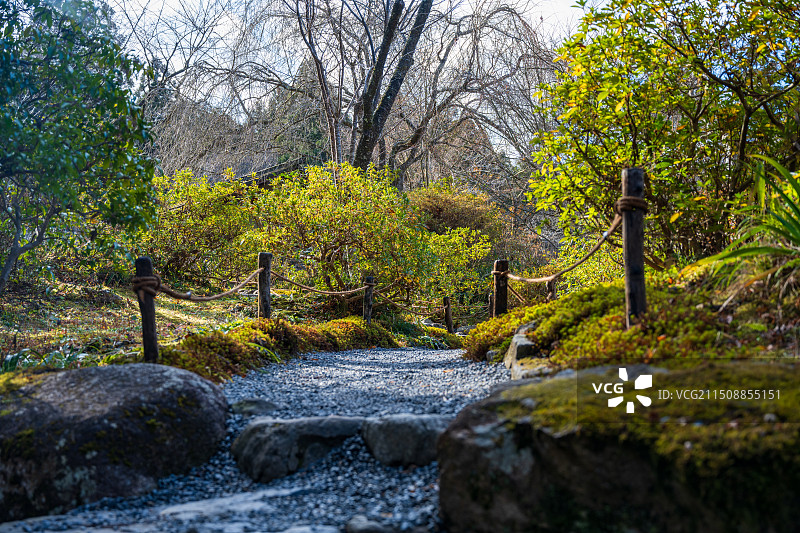 日本京都三千院佛教寺庙的古典园林风光图片素材