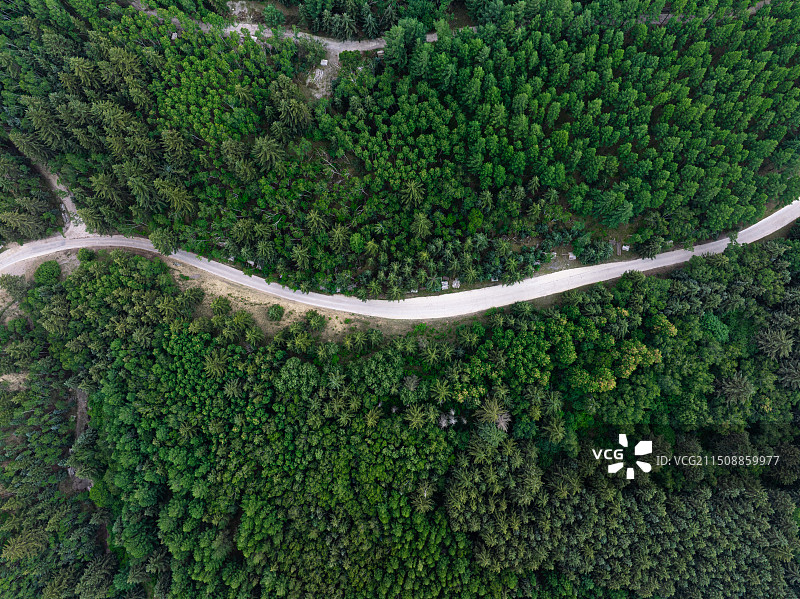 丰宁坝上千松坝森林公园林间道路航拍图片素材