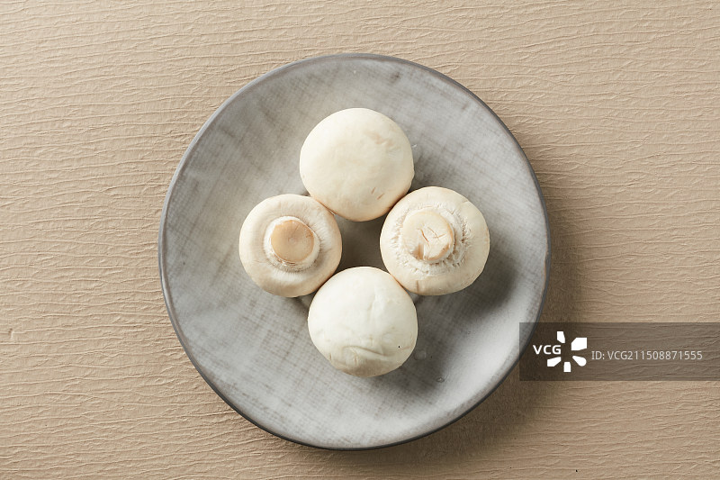 白蘑菇图片素材