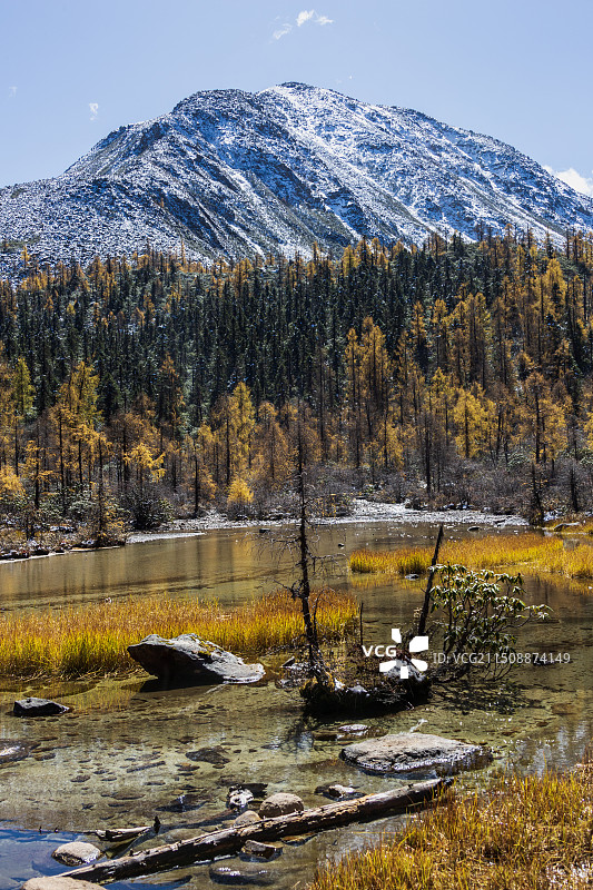 甘孜州丹巴县党岭风景区——巍峨的雪山金色的秋景图片素材