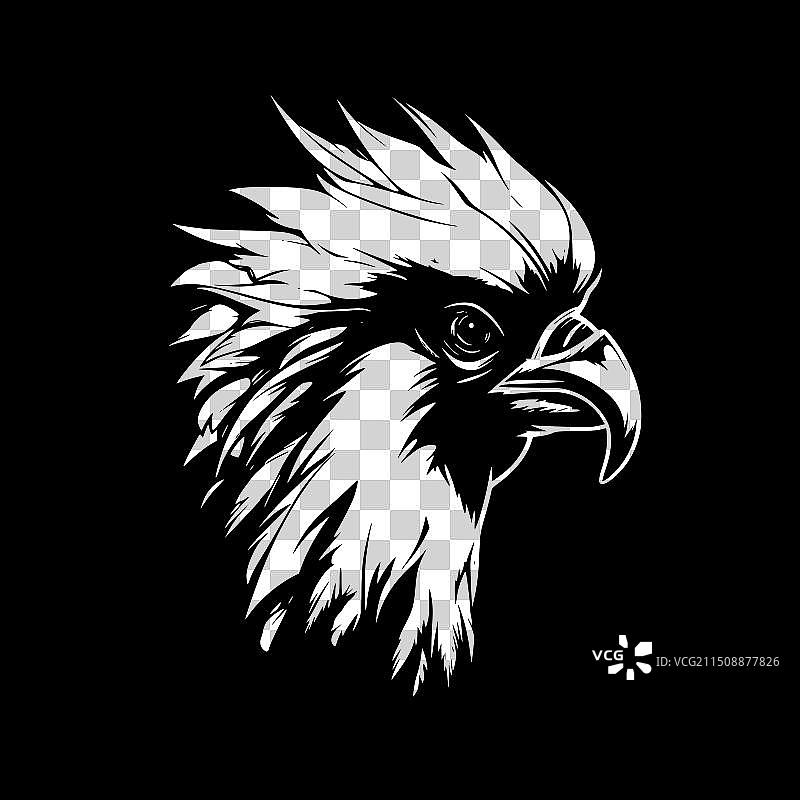 黑白鹦鹉图片素材