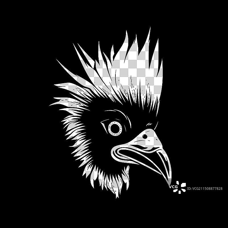 黑白鹦鹉图片素材